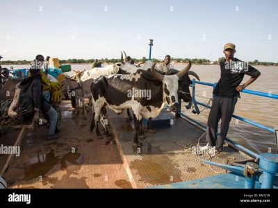 Animal Boat